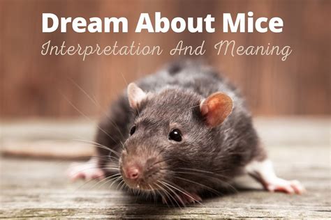 Possible Psychological Interpretations of Having Mice in One's Mouth in Dreams