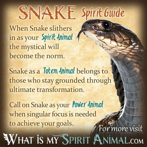Possible Significance of a Serpent Departing Your Residence