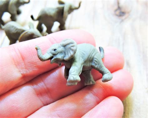 Practical Considerations for Keeping Mini Elephants as Pets