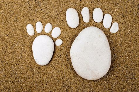 Practical Tips for Decoding and Evaluating Canine Footprint Dreams