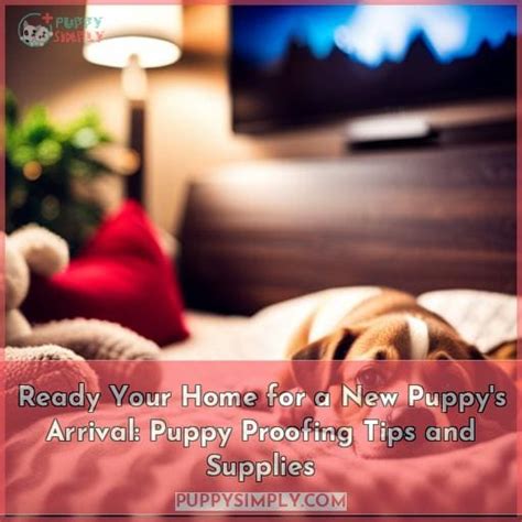 Preparing Your Home for a New Fur Baby: Puppy-Proofing 101