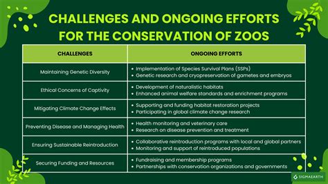 Preservation of Species: The Vital Role Zoos Play in Wildlife Conservation