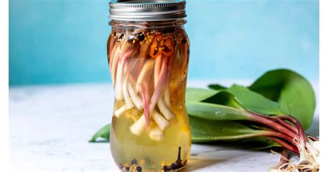 Preserving the Essence: Understanding the Cultural and Historical Value of Pickled Fruit