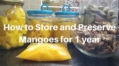 Preserving the Sweetness: Mango Preservation Techniques