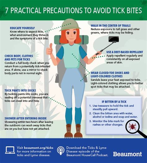 Preventing Camel Bites: Safety Measures and Guidelines