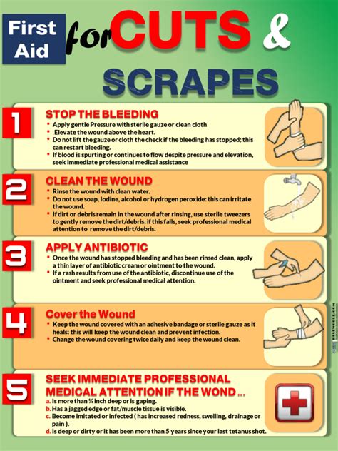 Preventing Cuts and Scrapes: Easy Tips for Staying Safe