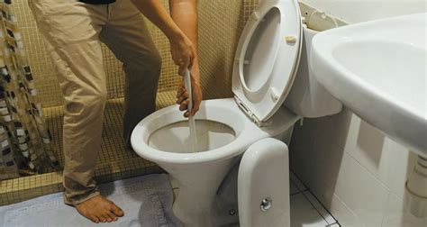 Preventing Future Toilet Bowl Mishaps