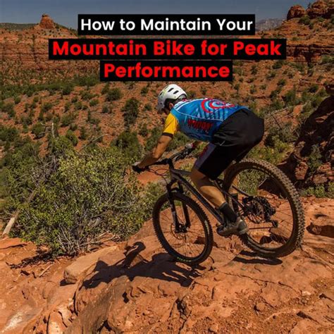 Pro Tips for Maintaining Your Bike's Peak Performance