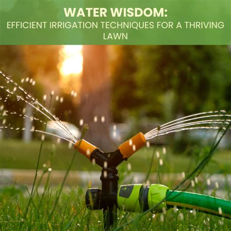 Proper Watering and Irrigation Techniques for Thriving Plants