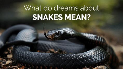 Psychological Interpretation of Dreams Associated with Snake Bites Occurring in Aquatic Environments
