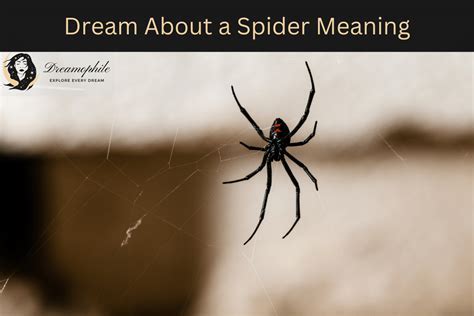 Psychological Interpretations: Analyzing Arachnid Emergence Dreams