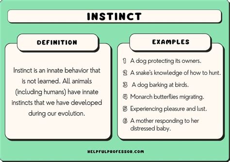 Psychological Interpretations: Analyzing Desires and Instincts