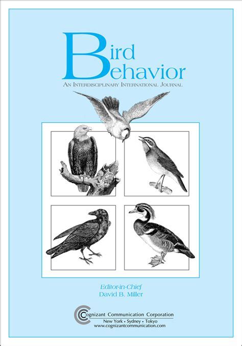 Psychological Interpretations of Avian Dreams: Insights into the Psyche