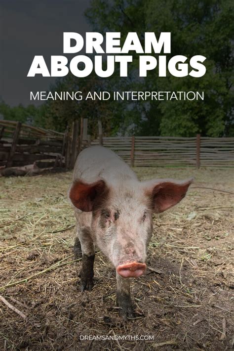 Psychological Interpretations of Pig Dreams