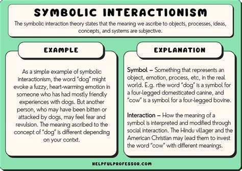 Psychological Perspectives: Analyzing the Symbolic Representation