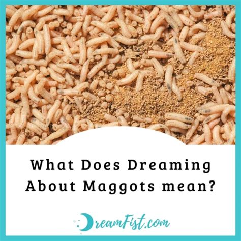 Psychological Perspectives on Dreams Involving Maggots Found in the Bed