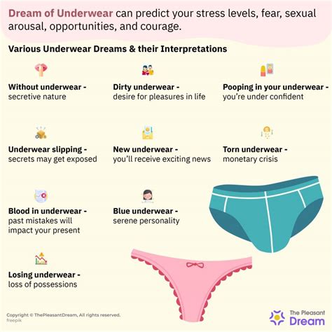 Psychological Perspectives on Hemorrhage in Undergarment Dreams