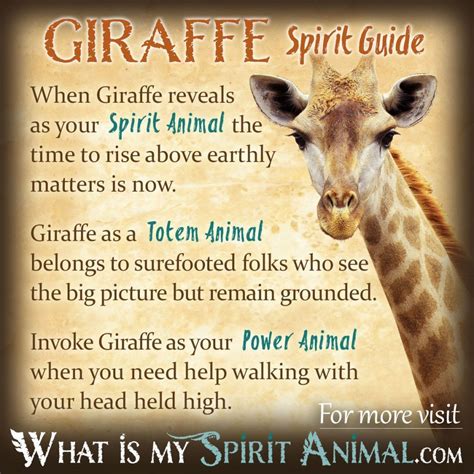 Psychological Significance of a Dying Giraffe in Night Visions