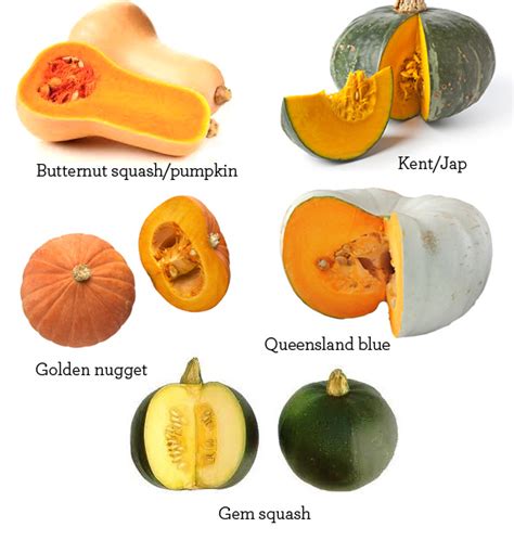 Pumpkin Squash in Traditional and Modern Cuisine