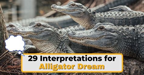 Quest for Answers: In-depth Analysis of the Enigmatic Alligator Dream