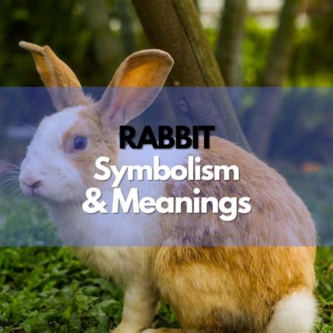 Rabbits as Symbols of Luck, Fertility, and Transformation