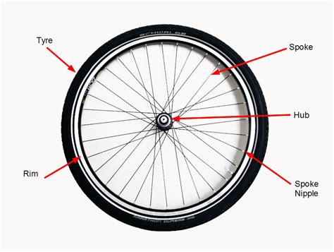 Reflecting on a Shattered Spoke: Unraveling the Meanings Behind a Fragmented Bicycle Wheel