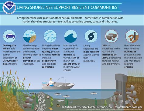 Restoring Fish Populations: Challenges and Solutions