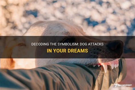 Revealing Insights: Decoding the Symbolism of a Canine Attack on the Cervical Region