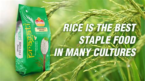 Rice: A Staple in Many Cultures