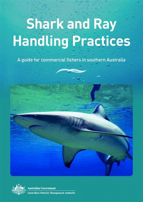 Safe Techniques for Capturing and Releasing Sharks