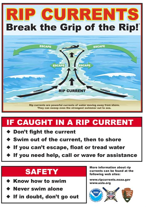 Safety Measures for Avoiding and Escaping Rip Currents