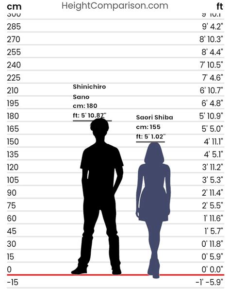 Saori Maeda's Height and Body Measurements