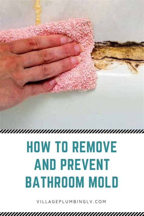 Say Farewell to Mold and Mildew: Effective Techniques for Eliminating and Preventing Bathroom Blemishes