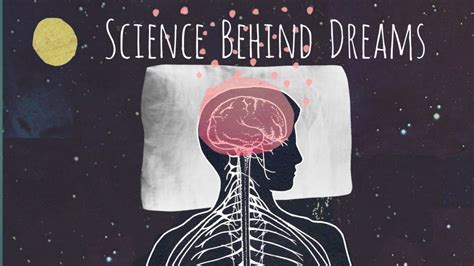 Science Behind Dreams: Understanding the Brain Processes that Influence Dream Content