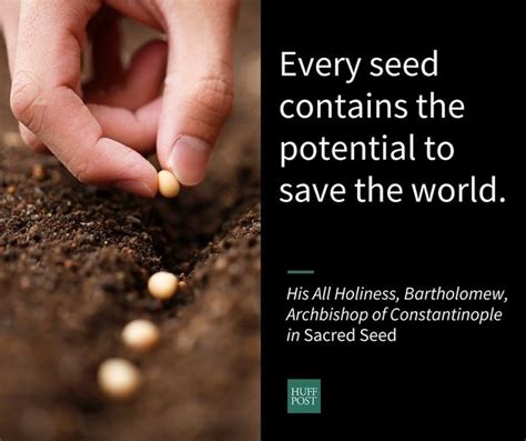 Seeds as Metaphors for Ideas and Potential