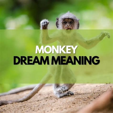 Seeking Peace and Balance: How to Interpret Monkey Dreams in Pregnancy