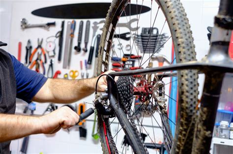 Seeking Solutions: Steps to Fixing or Replacing the Damaged Bike