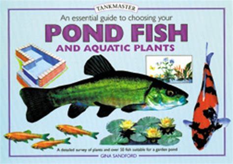 Selecting the Perfect Fish and Aquatic Flora