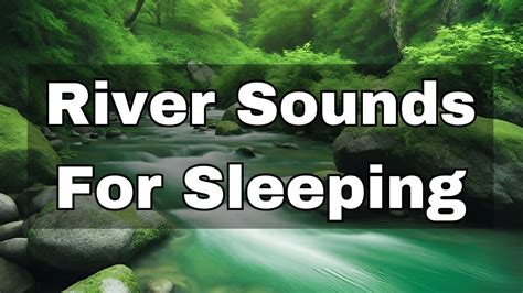 Serenade of the Streams: Embracing the Melodic Symphonies of Pristine Rivers