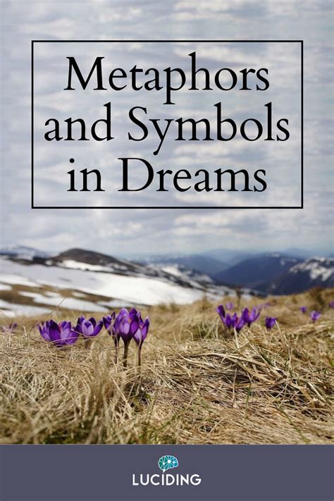 Shifting Perspectives: Deciphering Symbols and Metaphors in Dreams