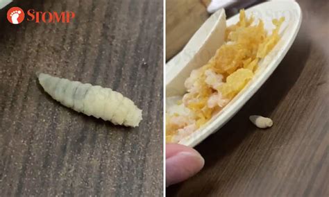 Shocking revelation: Live larvae discovered in restaurant cuisine