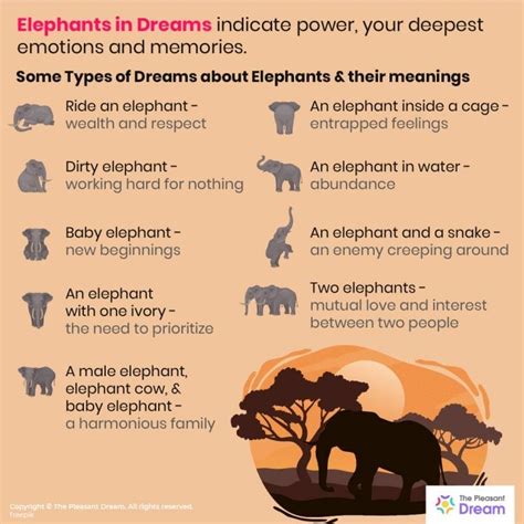 Significance of Dreaming about Elephants and Tigers