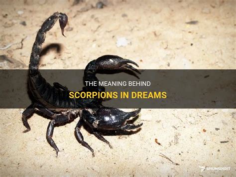 Significance of Red Scorpions in Dreams: Portrayal of Intense Passion and Potential Warnings