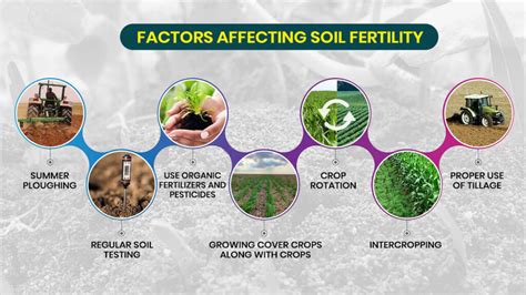 Signifying Fertility and Expansion in Varied Areas of Life