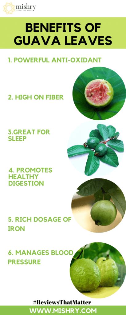 Skin Deep: Exploring the Beauty Benefits of Big Guava