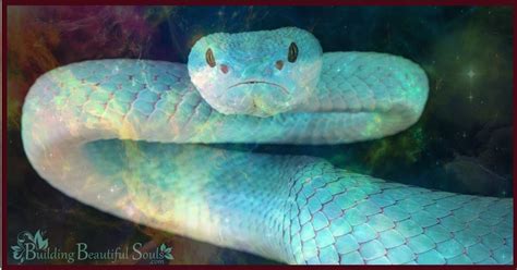 Snakes in Dreams: A Powerful and Ancient Symbol