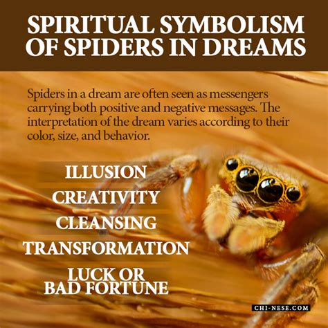 Spiders in Dreams: Decoding their Symbolic Meaning