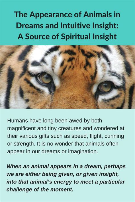 Spiritual Insights from Animal Doppelgängers