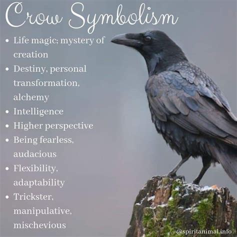 Spiritual Significance: Deciphering the Meaning behind the Passing of a Crow in a Dream