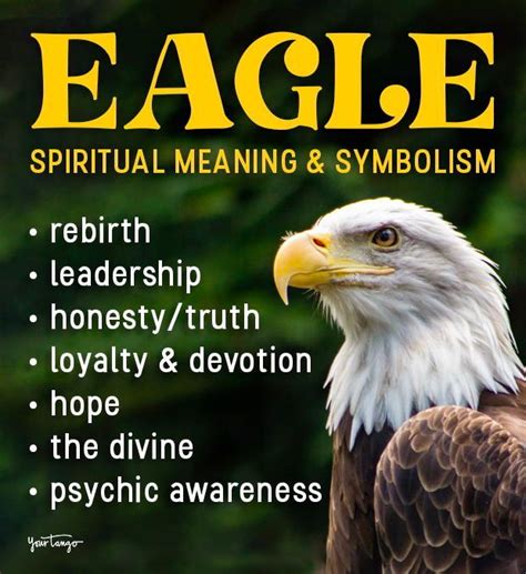 Spiritual Significance: Deepening Understanding of Eagle Symbolism